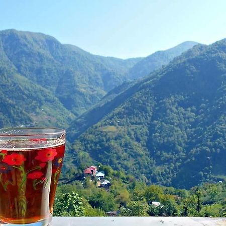 Guest House Noe Kveda Chkhutuneti Εξωτερικό φωτογραφία