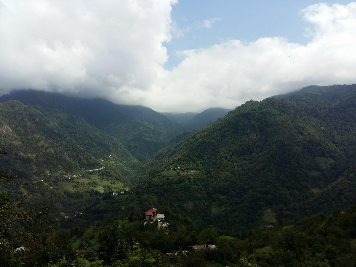Guest House Noe Kveda Chkhutuneti Εξωτερικό φωτογραφία