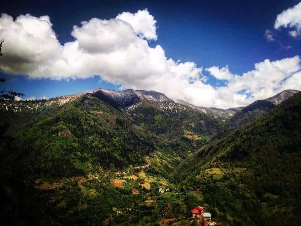 Guest House Noe Kveda Chkhutuneti Εξωτερικό φωτογραφία